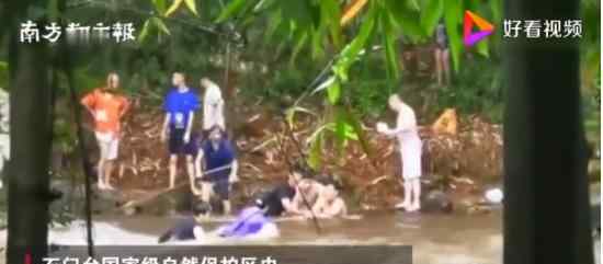 广东7名驴友被冲走3人溺亡 遇难者最小3岁