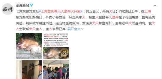 上海首例养犬人遗弃犬只案 具体怎么回事
