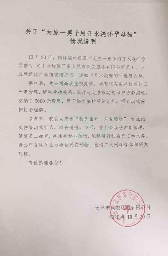 央视呼吁禁止虐动物尽快立法 事件详情始末介绍！