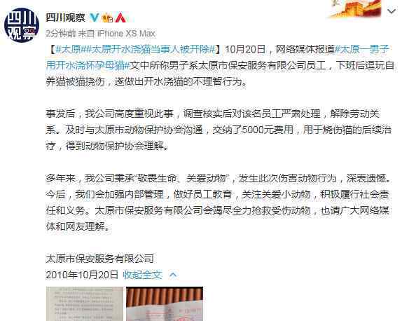 央视呼吁禁止虐动物尽快立法 事件详情始末介绍！