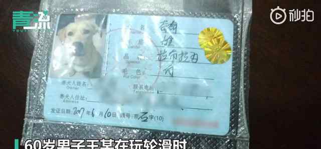 60岁大爷玩轮滑和未牵绳的狗相撞 究竟发生了什么?