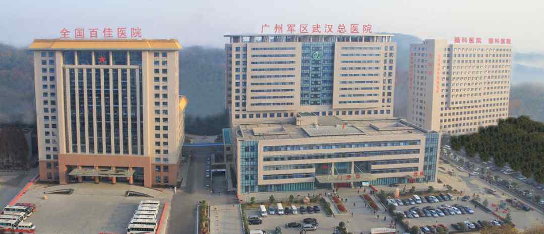 武汉161医院官网 来了，中部战区总医院！