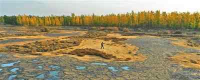 腾格里沙漠边缘污染 宁夏自治区全面调查处置