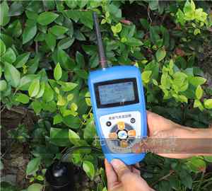 土壤温度传感器 土壤温度测量仪使用原理及使用方法有哪些？