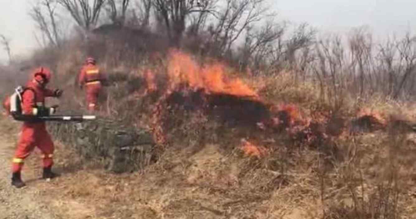 中俄边境森林火灾 已对我国形成过境威胁
