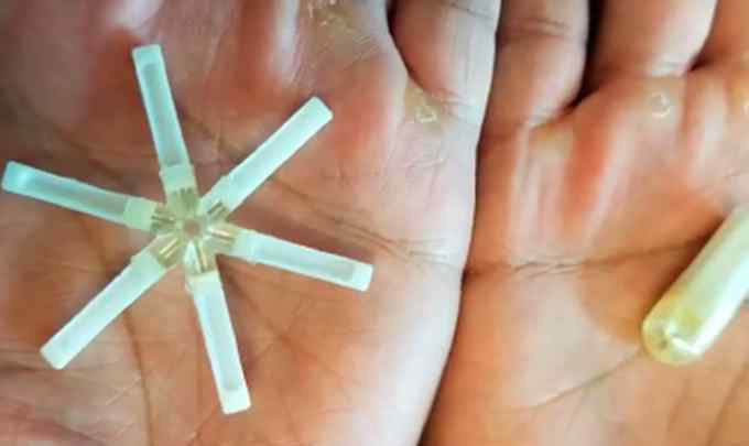 月避孕药研发成功 已完成动物实验