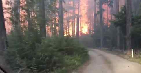 父子驾车穿越火海 险些因为森林大火丧命