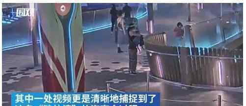 老妇在上海迪士尼专偷童车内物品 具体是什么情况？