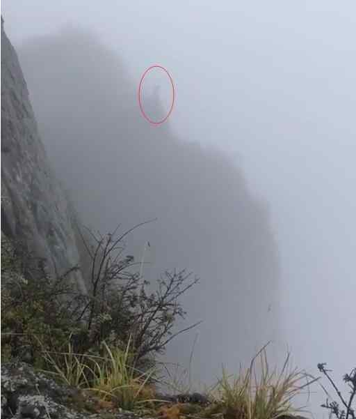 男子在峨眉山跳崖 被救援人员找到时已无生命体征