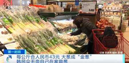 韩国大葱涨至43元一公斤 民众吃不起自己在家种 到底是什么状况？