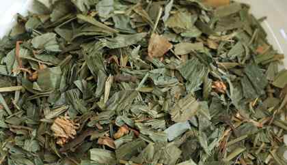 竹叶茶的功效与作用 淡竹叶的功效与作用淡竹叶的药用价值