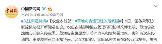 草地贪夜蛾入侵 过程真相详细揭秘！