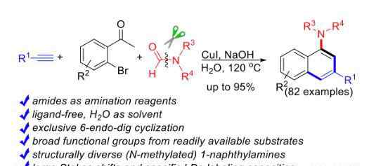 芳香胺 JACS 湖南大学周永波课题组在芳香胺合成领域取得重要研究进展
