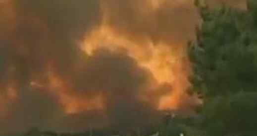 葡萄牙中部森林火灾 已经导致至少43人遇难