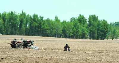 辽宁3月份以来大面积干旱 干旱农田缺墒1470.95万亩