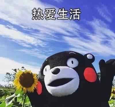步步惊心经典语录 50句电视剧经典台词，哪一句最让你扎心？
