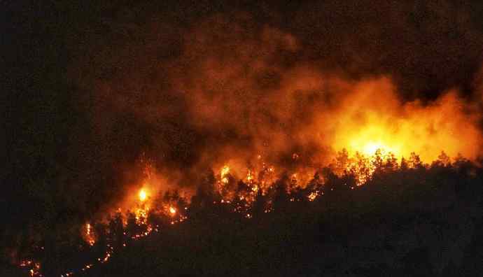 景德镇森林火灾 到底是什么状况？