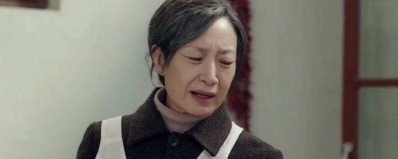 姥姥的饺子馆大老杨结局