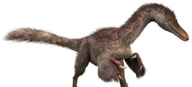 人类首次在琥珀中发现恐龙化石 羽毛纹路清晰可见