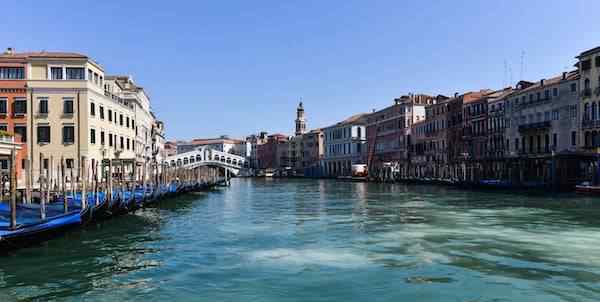 威尼斯河道变清出现海豚 事件详细经过！