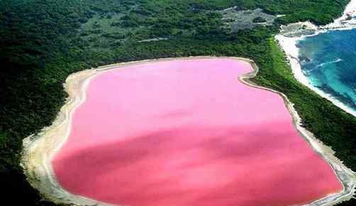 中国死海变玫瑰湖 古老的盐湖水变成了粉色