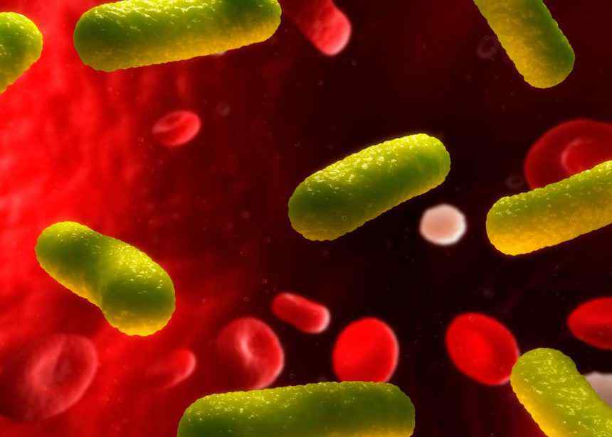 bacteria 青年文摘|快速检测五种常见血流感染细菌的新型方法——T2Bacteria Panel