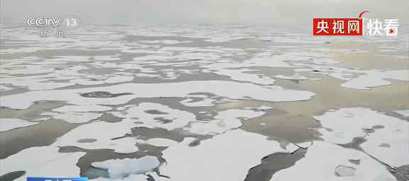 世界气象组织呼吁紧急应对北极高温 事件的真相是什么？