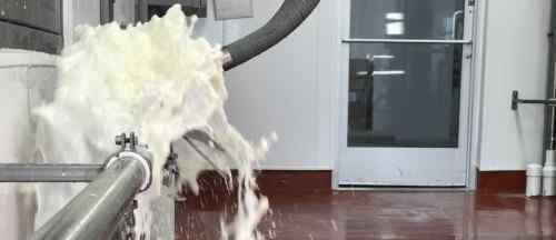 全美每天要倒掉至少1000万升牛奶 具体是啥情况?