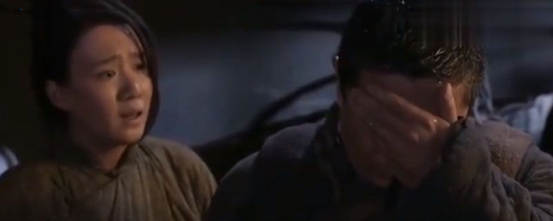 老农民果儿第几集