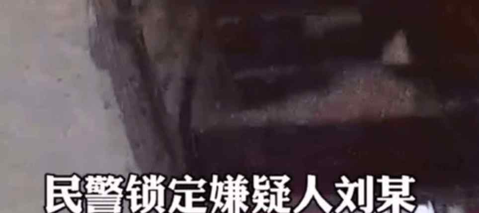 男子靠手捧三晚偷走1200斤玉米 因没有工具硬是捧了2400多趟