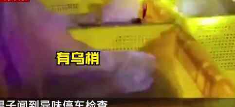司机接单拉货半路闻到异味 打开后吓得直接报警