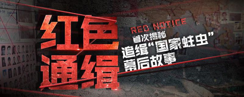 红色通缉总共多少集