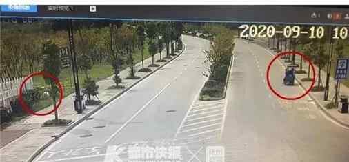 毒蚂蚁诱饵被捡走差点成孩子晚餐 事件详细经过详解