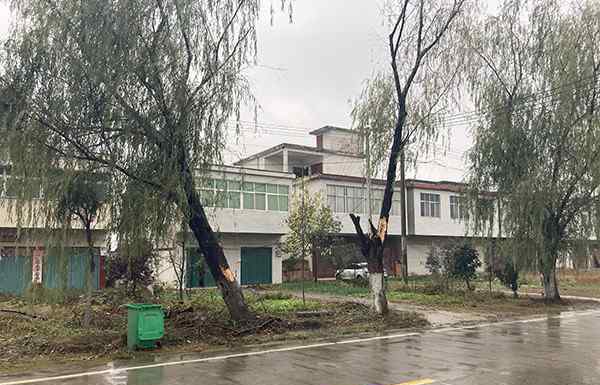 幸存者回忆出殡日致9死车祸 当时现场状况究竟是怎样的？