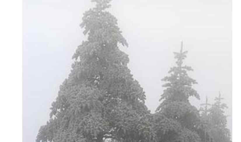 四川峨眉山迎入秋来第一场雪 最低气温达零下2.5度