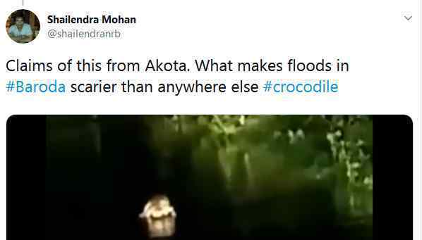 印度暴雨惊现鳄鱼 到底是什么状况？