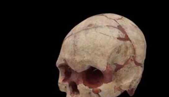 16000年前的人头骨化石 16000年前的人长什么样