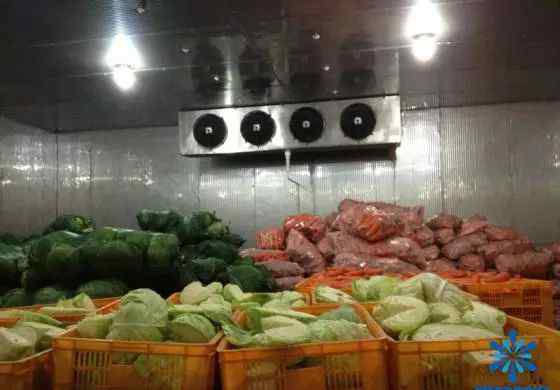 蔬菜保鲜冷库 什么蔬菜可以在冷库内保存？蔬菜保鲜温度是多少？