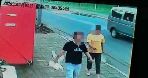 警方回应王珞丹寻鸭启事 王珞丹的鸭子被谁抓走了最终难逃厄运