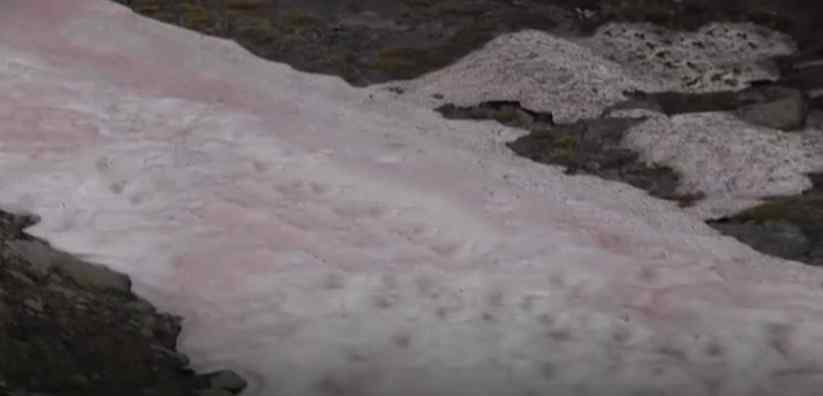 阿尔卑斯山出现粉色冰川，美丽外表下的危险全球变暖现象