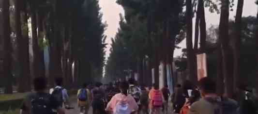 获奖100万清华学霸自嘲胡子比头发长 岁月是把杀猪刀啊