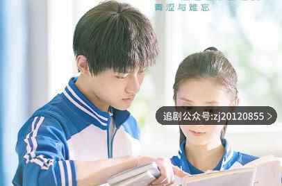 一根木头网剧在线观看全集 12集免费播放西瓜影音