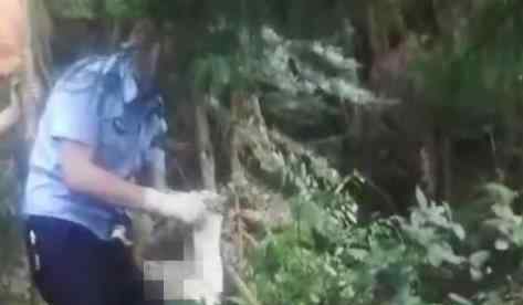 峨眉山警方通报林间发现两具尸体 怎么去世的