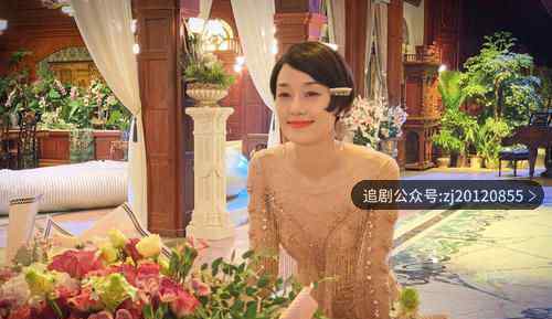 旗袍美探电视剧全集在线观看 高清免费完整版播放