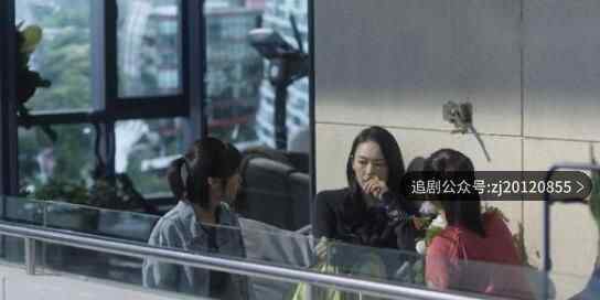 三十而已电视剧在线观看 全集完整版高清免费播放