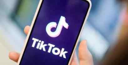 英法德未跟风封禁TikTok 具体事件细节回顾