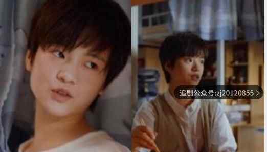 二十不惑全集免费观看巴巴 策驰影院在线播放40集完整版