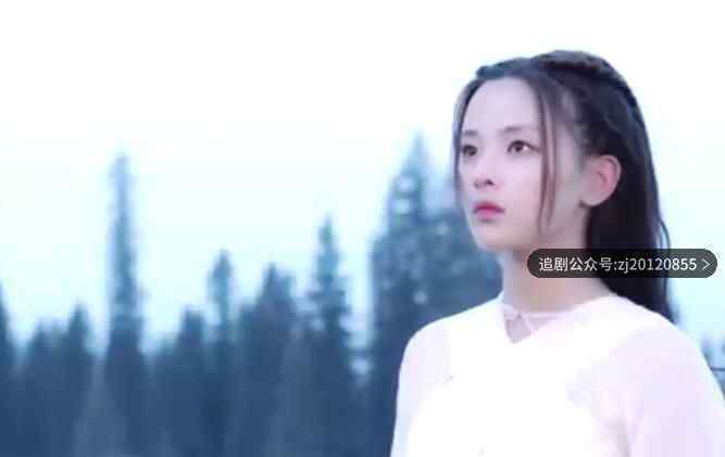 电视剧免费观看 策驰完整版全30集播放