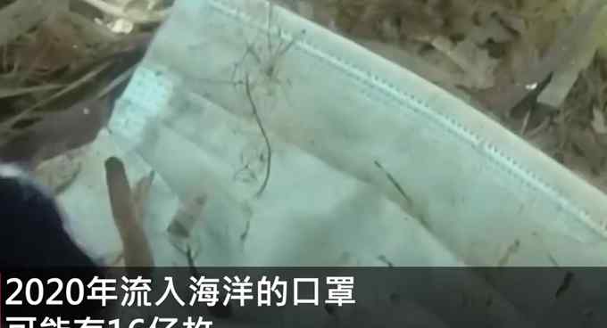 16亿口罩或流入海洋 分解至少需450年！千万别随手扔在地上！