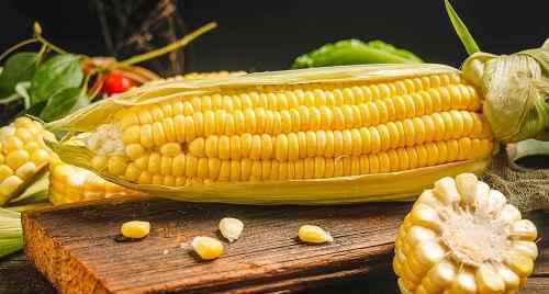 玉米价格每吨涨千元 具体是什么情况？